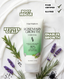 Rosemary Growth Mask to Repair Damaged Hair Hair Matters